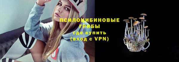 ешки Иннополис