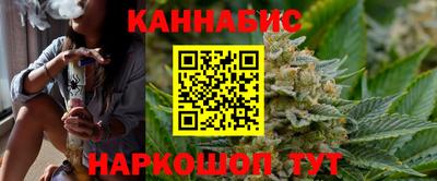 гидра Кингисепп