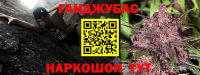 прущие грибы Кимры