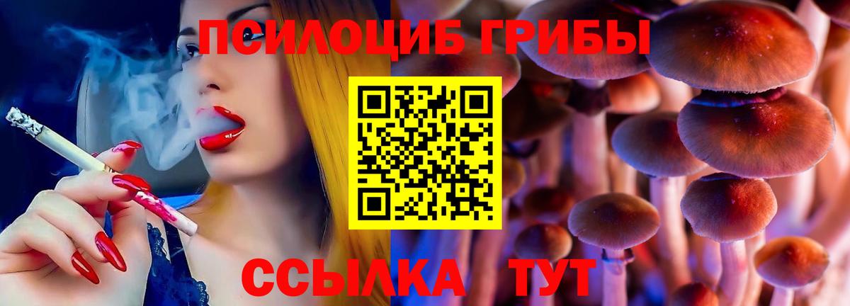 Псилоцибиновые грибы прущие грибы Ливны